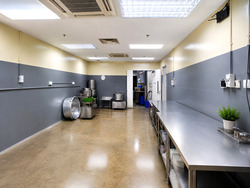 Mandai Foodlink (D25), Factory #561972951